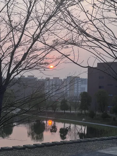 公司拍摄的落日与天空