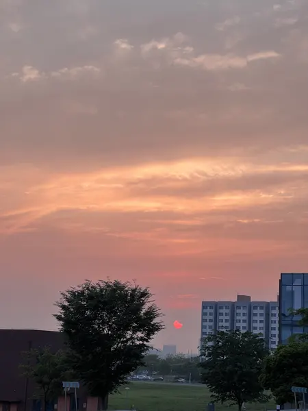 公司拍摄的落日与天空