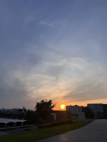 公司拍摄的落日与天空