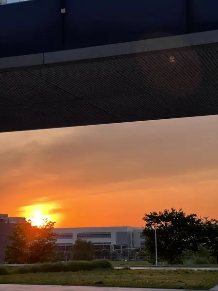 公司拍摄的落日与天空
