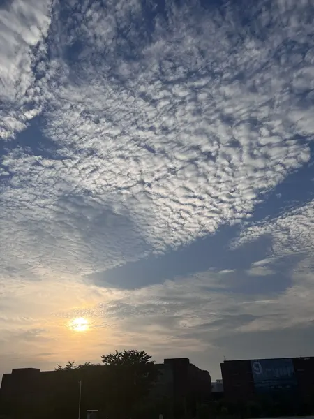 公司拍摄的落日与天空